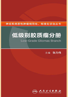 神经系统恶性肿瘤规范化、标准化诊治丛书：低级别胶质瘤分册在线阅读