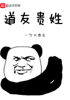 道友貴姓在線閱讀