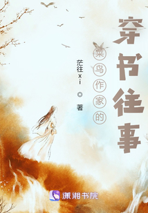 菜鸟作家的穿书往事