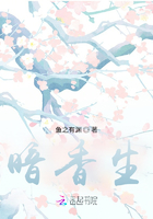 暗香生在線閱讀