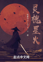 灵槐星火
