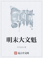 明末大文魁在線閱讀