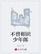 不曾相識少年郎在線閱讀