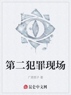 第二犯罪现场在线阅读