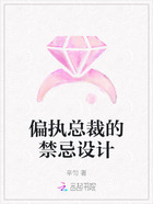 偏执总裁的禁忌设计在线阅读