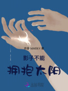 影子不能拥抱太阳在线阅读