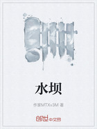 水坝在线阅读