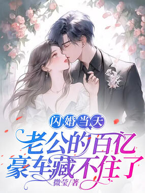 闪婚当天,老公的百亿豪车藏不住了在线阅读