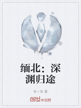 缅北：深渊归途在线阅读