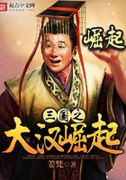 三国之大汉崛起在线阅读