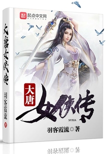 大唐女侠传 cover