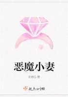恶魔小妻在线阅读