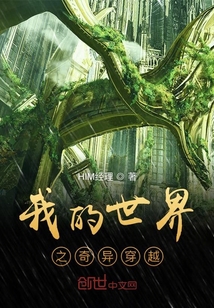 我的世界之奇異穿越