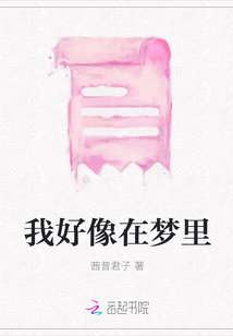 我好像在夢里