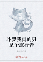斗罗我真的只是个旅行者在线阅读
