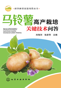 馬鈴薯高產栽培關鍵技術問答