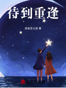 待到重逢