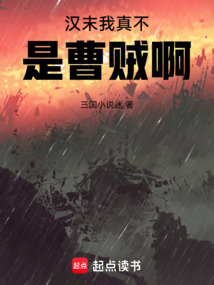 漢末我真不是曹賊啊