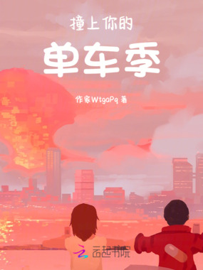 撞上你的单车季在线阅读