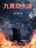 九霄劫火录在线阅读