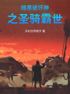 暗黑破坏神之圣骑霸世在线阅读
