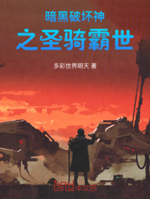 暗黑破壞神之圣騎霸世