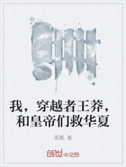 我，穿越者王莽，和皇帝们救华夏在线阅读