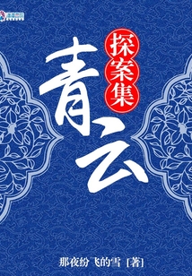青云探案集