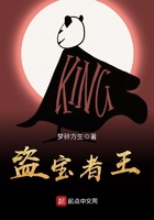 盜寶者王在線閱讀