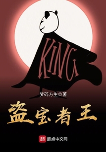 盗宝者王