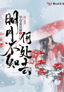 明月不知何處去