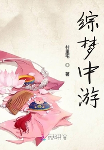 綜夢中游