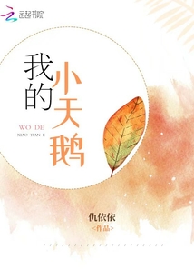 我的小天鵝