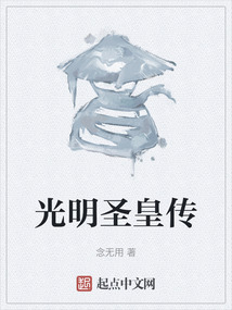 光明圣皇传