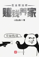 在全职法师赚钱养家