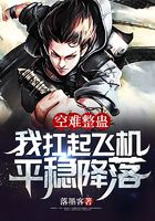 空难整蛊:我扛起飞机平稳降落在线阅读