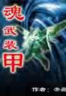 魂武裝甲
