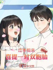 过年相亲，喜提一对双胞胎！在线阅读
