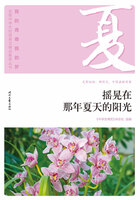 “我的青春我的梦”全国中学生校园美文精品集萃丛书:摇晃在那年夏天的阳光在线阅读