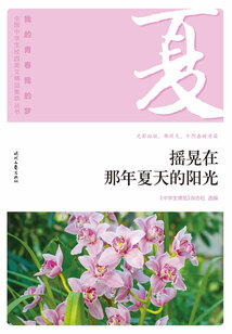 “我的青春我的夢”全國中學生校園美文精品集萃叢書:搖晃在那年夏天的陽光
