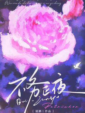 不务正夜在线阅读