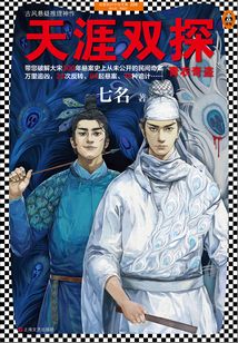 天涯雙探：青衣奇盜
