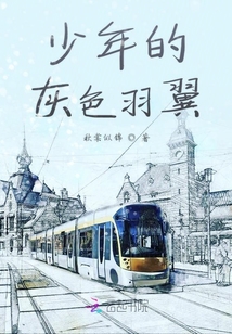 少年的灰色羽翼