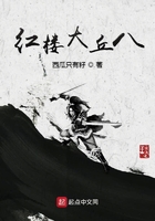 红楼大丘八在线阅读