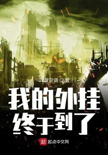 我的外掛終于到了