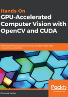 Hands-On GPU：Accelerated Computer Vision with OpenCV and CUDA在线阅读