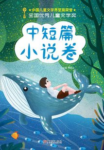 全國優秀兒童文學獎：中短篇小說卷