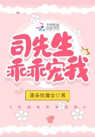 司先生乖乖寵我在線閱讀