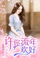 許你流年歡好在線閱讀