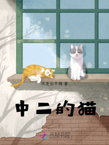 中二的貓
